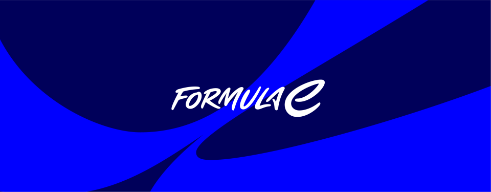 FE电动方, 世界拉力锦 FE电动方, 世界拉力锦